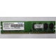 Модуль оперативной памяти 4Gb DDR2 Patriot PSD24G8002 pc-6400 (800MHz)  (Дубна)