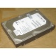 HP 250G 7.2k 432337-001/ 399699-001 / 397377-004 SATA HDD (Дубна)