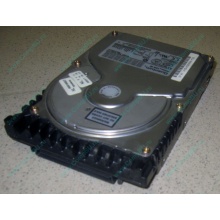 Жесткий диск 18.4Gb Quantum Atlas 10K III U160 SCSI (Дубна)