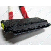 SATA-кабель для корзины HDD HP 451782-001 459190-001 для HP ML310 G5 (Дубна)