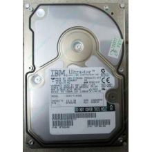 Жесткий диск 18.2Gb IBM Ultrastar DDYS-T18350 Ultra3 SCSI (Дубна)