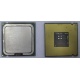 Процессор Intel Celeron D 336 (2.8GHz /256kb /533MHz) SL98W s.775 (Дубна)