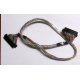 Intel 6017B0045301 в Дубне, 68 pin SCSI кабель 26.5" / 57см для корзины HDD корпуса SR2400 (Дубна)