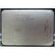 AMD Opteron 6128 OS6128WKT8EGO (Дубна)