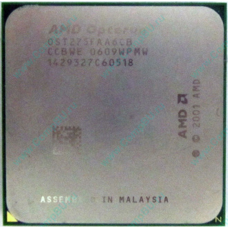AMD Opteron 275 OST275FAA6CB (Дубна)