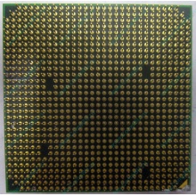 Процессор AMD Athlon 64300+ (1.8GHz) ADA3000IAA4CN s.AM2 (Дубна)