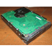 Жесткий диск 300Gb 15k Dell 9CH066-050 6G SAS (Seagate Cheetach ST3300656SS 15K.6) - Дубна