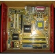 Материнская плата Asus P5L-VM 1394 s.775 (Дубна)